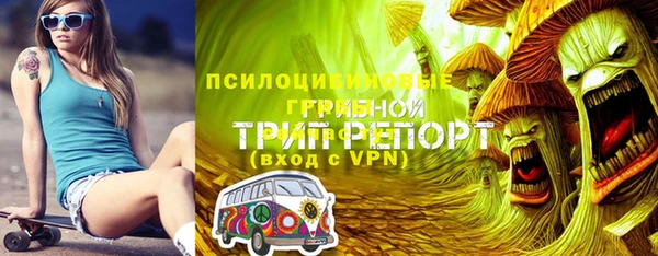 хмурый Верхний Тагил