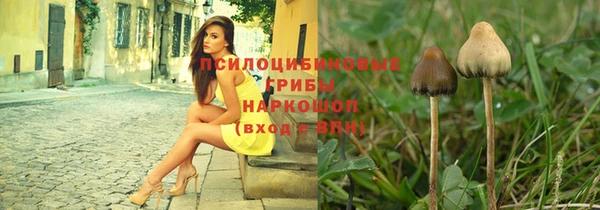 хмурый Верхний Тагил