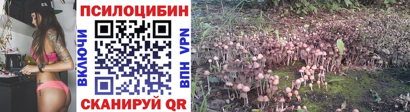 Псилоцибиновые грибы GOLDEN TEACHER Володарск