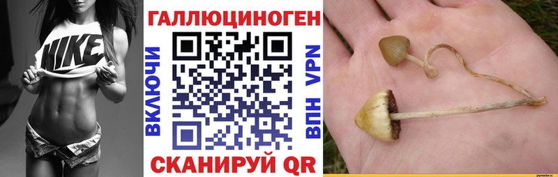 Псилоцибиновые грибы мухоморы  Володарск 